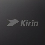 海思 麒麟 9000_HiSilicon Kirin 9000